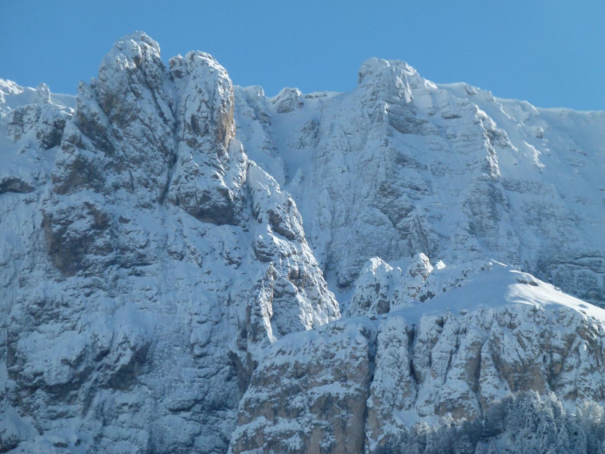 Chalet Elisabeth Dolomites Alpin & Charme Hotel Селва ди Вал Гардена Екстериор снимка